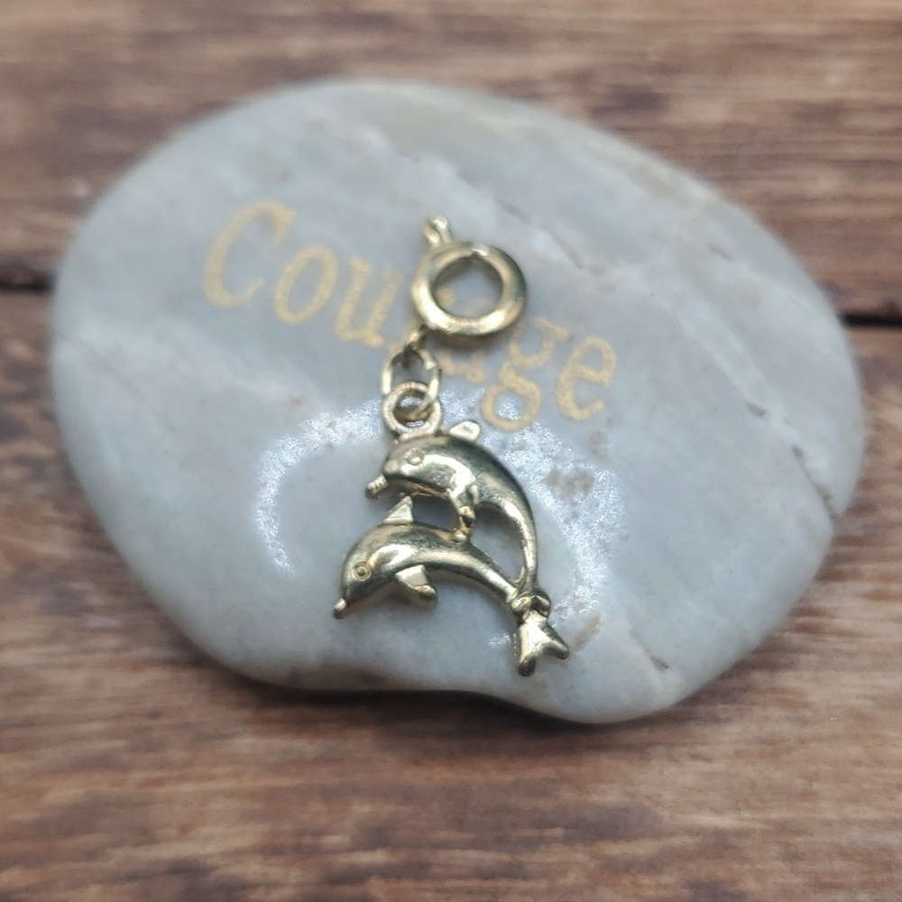 Dainty dolphin‎ charm